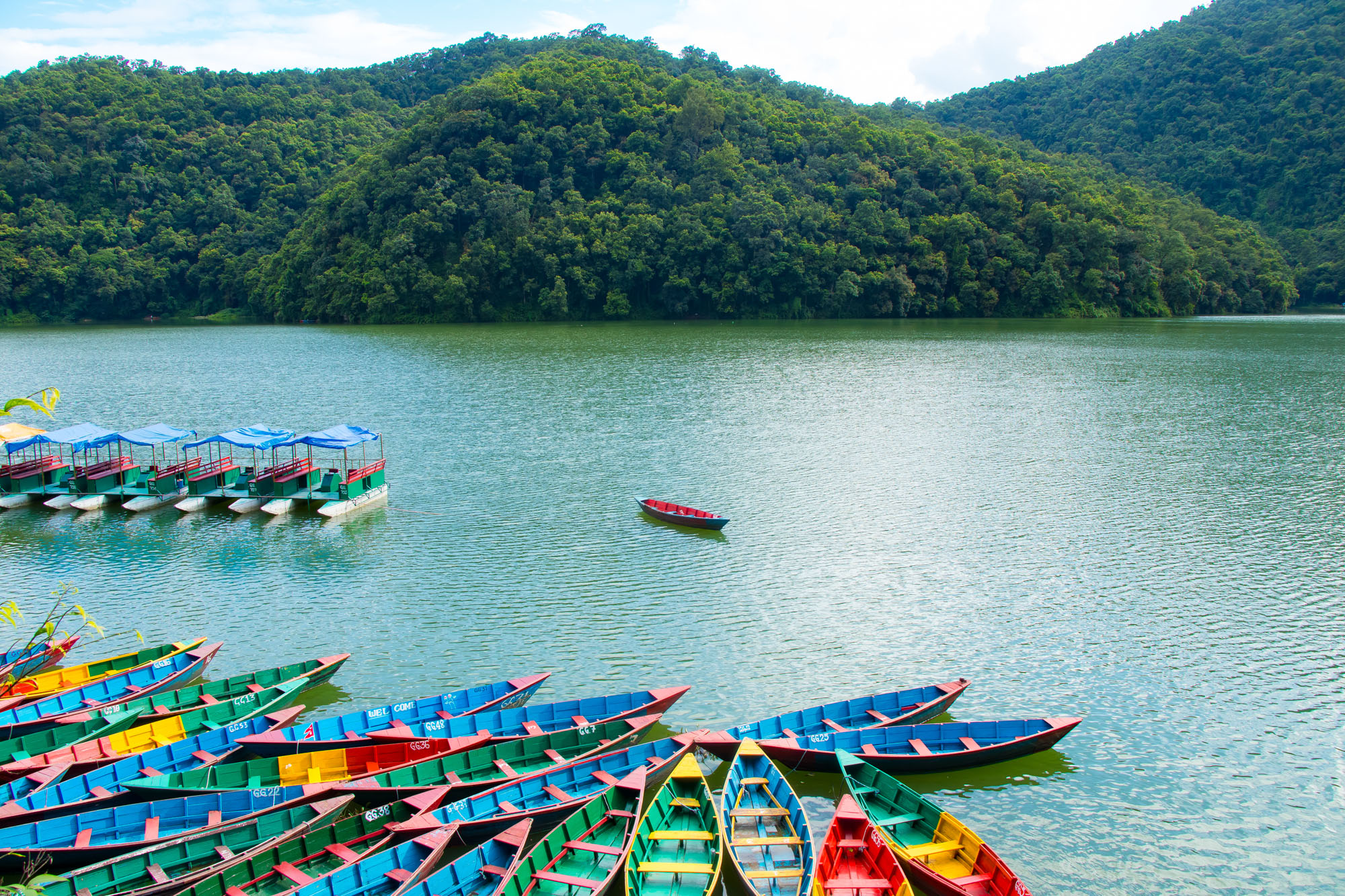 Phewa Lake